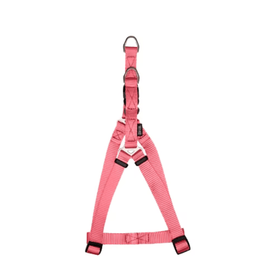 Zeus Arnes Diseño 'A' Coral1