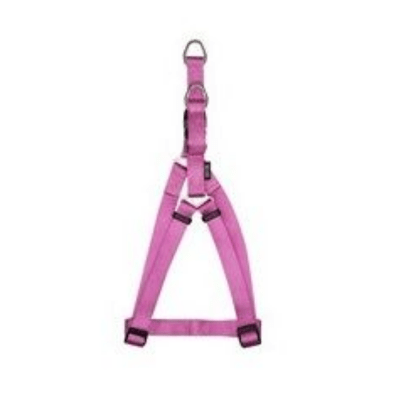 Zeus Arnes Diseño 'A' Fucsia1