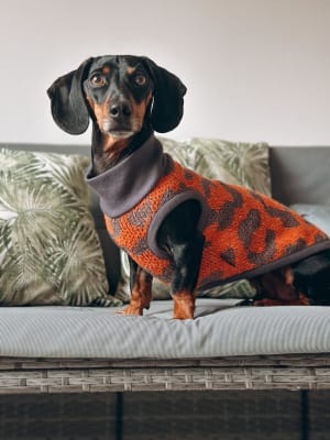 Chaleco Cobre tejido Kodkod gris1