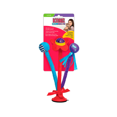 Kong connects Bat´n spring1