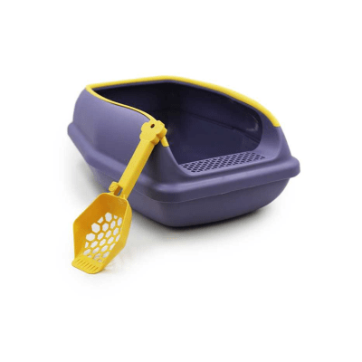 Hey! Arenero morado con pala1