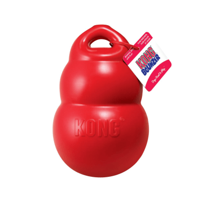 Kong bounzer1