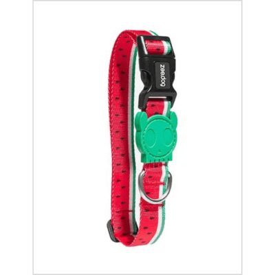 Lola collar1