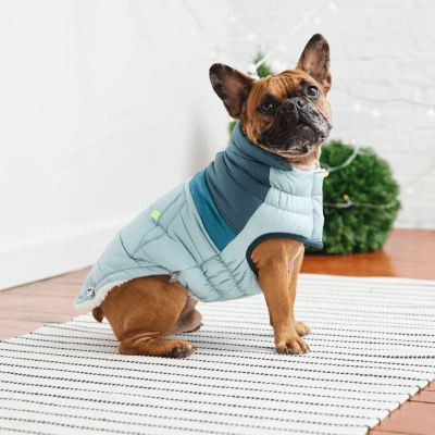 GFpet chaqueta retro Puffer Light Blue3