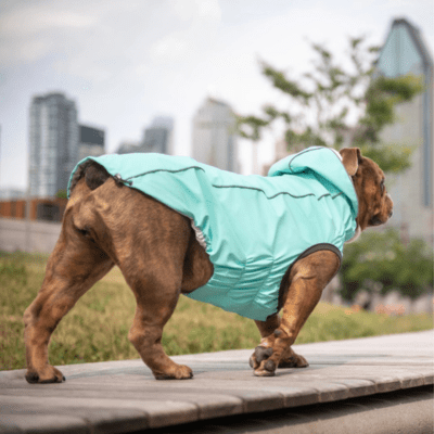 GFpet impermeable reversible Neon aqua3