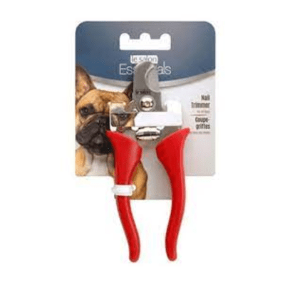 Le salon Cortauñas perro alicate1