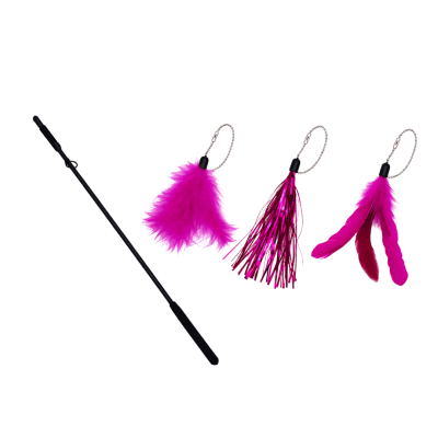 Varita plumas y cintas brillantes1