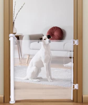 Puerta de seguridad pawise1