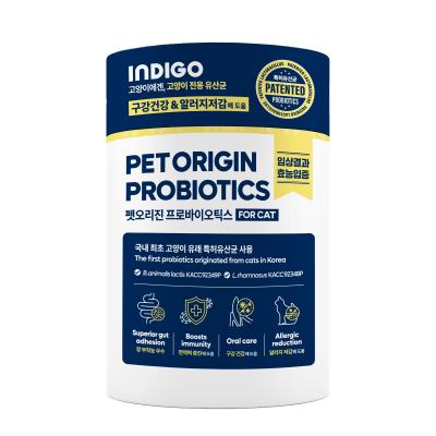 Indigo pet origin probioticos para gatos1