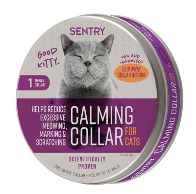 Sentry calming Collar gato1