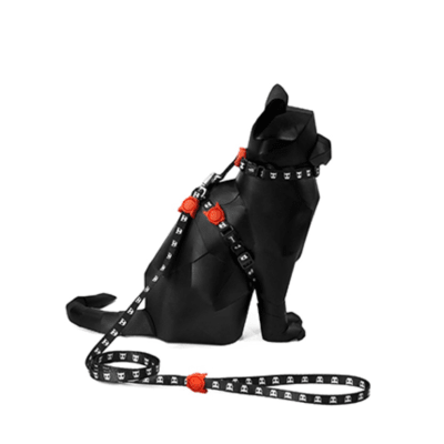 Skull 2.0 Harness set gato1