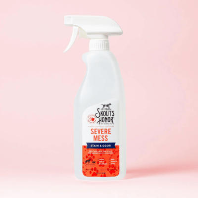 Skout´s honor severe Mess1