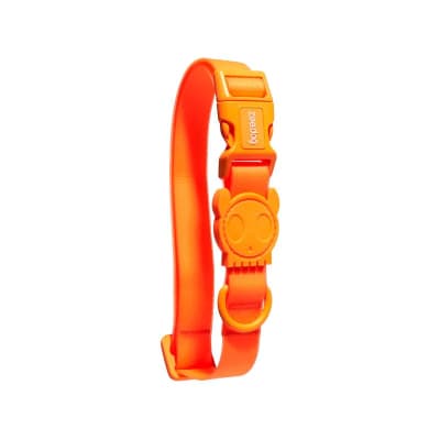 Neopro Tangerine Collar1