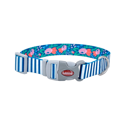 Coastal Sublime Collar Teal Stripe1