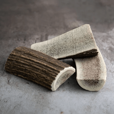 Asta de ciervo Aukan principiante1