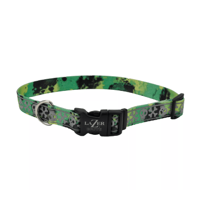 Coastal Lazer Brite collar L. Skulls1