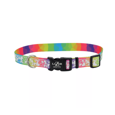 Coastal Lazer Brite collar Rainbow Hearts1