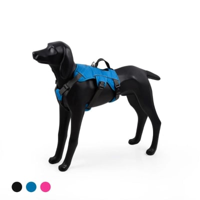 Arnés Pehoe azul Sheepdogz1