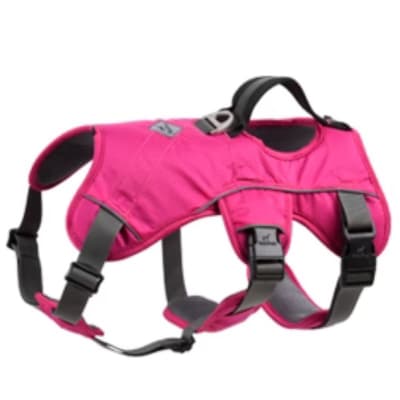 Arnés Pehoe morado Sheepdogz1