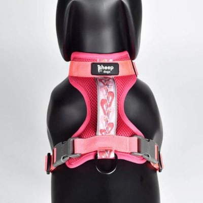 Arnés trinar andino Flamenco1