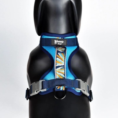 Arnés trinar andino Martin Pescador1