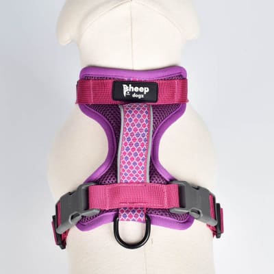 Arnés trinar andino Picaflor1