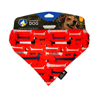 Collar con bandana1