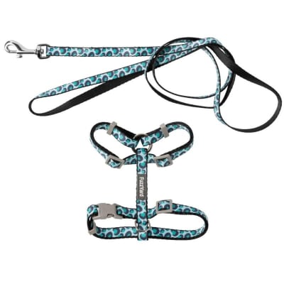 Fuzzyard Set arnes gato Wild one aqua1