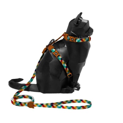 Phanton set arnes gato1