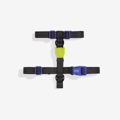 Zeedog Harness Nox1