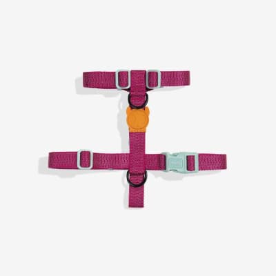 Zeedog harness Nox Sidus1