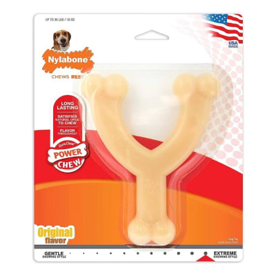 Nylabone juguete Mordedor extremo1