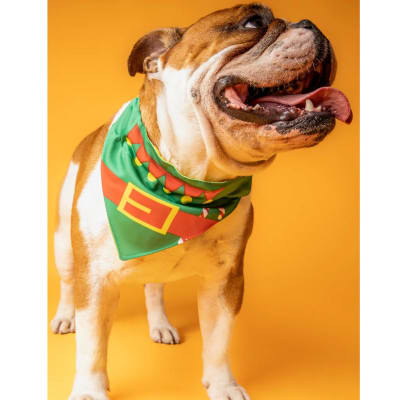 Bandana By Simona duende ayudante1