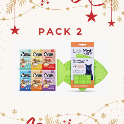 Pack 2 Navidad1