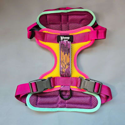 Arnes puelo floral Alstroemeria1