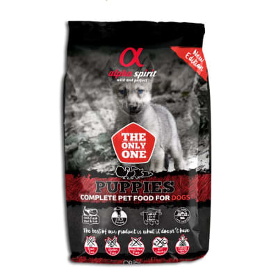 Alpha Spirit Puppies1