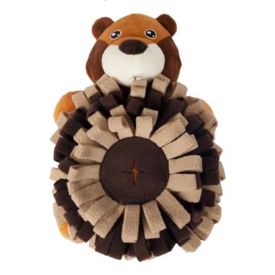 Mat Entrenamiento Oso Pawise1