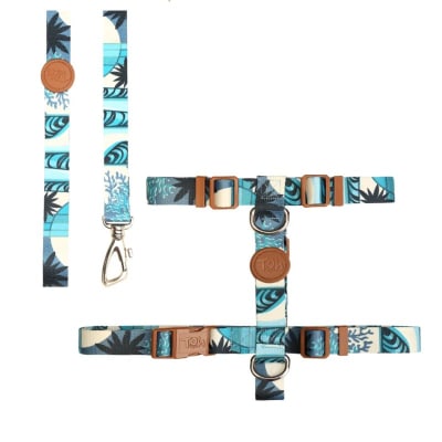 Pack Arnes y correa Noroña1