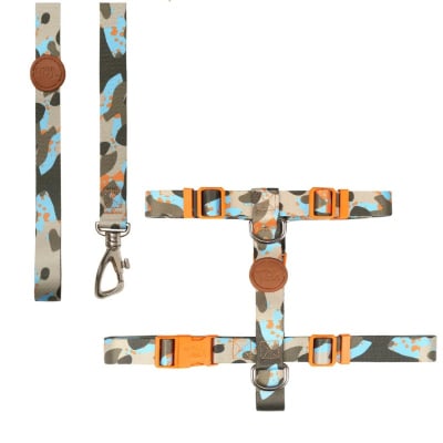 Pack Arnes y correa Oliva1