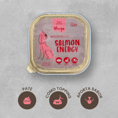 Winga Salmon energy 300 gr2