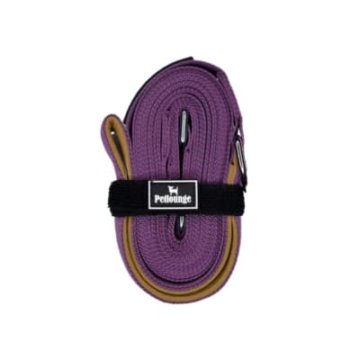 Correa Petlounge 5 metros Morada1