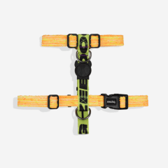 Zeedog arnés H Bikr