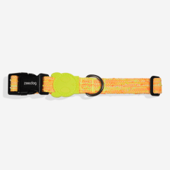 ZeeDog collar Bikr