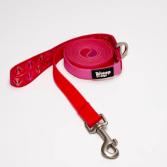 Correa impermeable flamenco