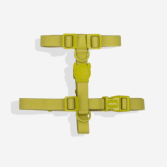 Zeedog Neopro arnes H matcha