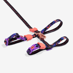 Zeecat Arnes Set Reebok Court