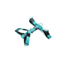 Street Dogs Arnes Strap Turquesa