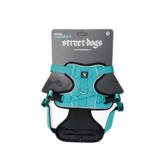 Street Dogs Arnes Comfort Turquesa