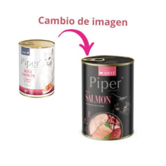 Piper cat with Salmon