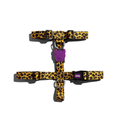 Honey Harness